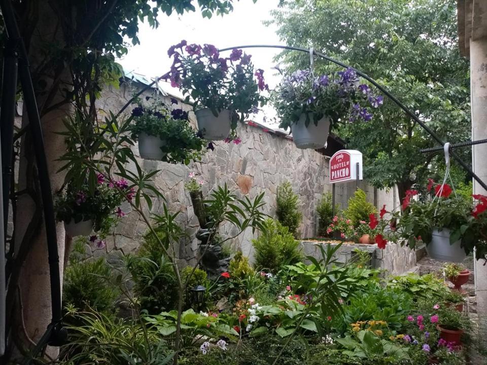 Pancho Family Hotel Kranevo Exterior foto